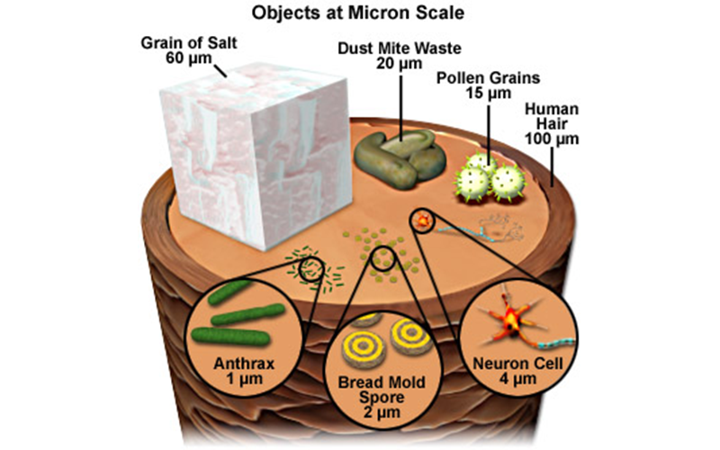 Read more about the article What is particulate matter?